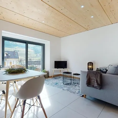 Apartment 2.5 Rooms With All Comfort At 5 Minutes From Sion Bremis